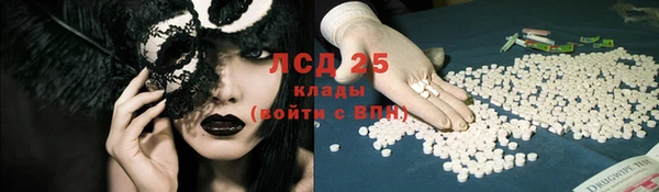 шишки Абаза