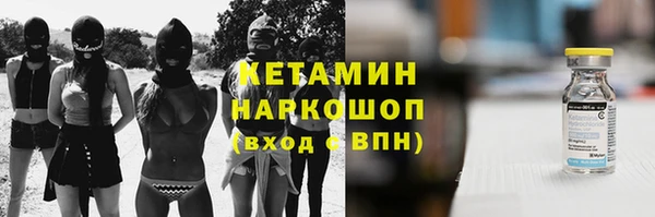 шишки Абаза