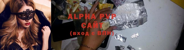 шишки Абаза