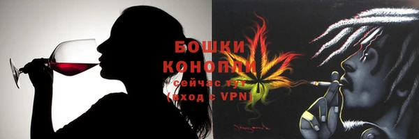 шишки Абаза