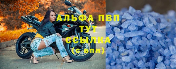 шишки Абаза