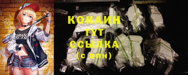 шишки Абаза