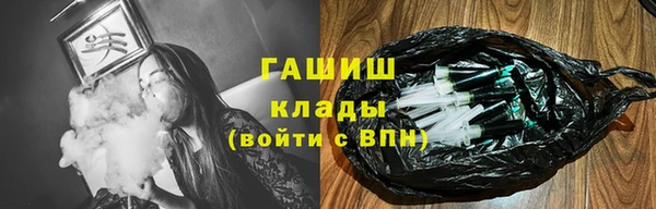 шишки Абаза