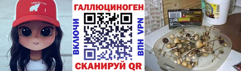 Галлюциногенные грибы ЛСД Химки