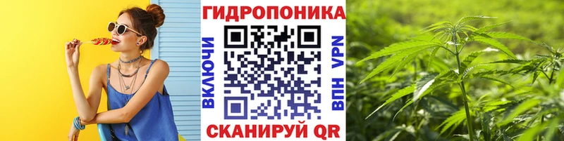 купить  сайты  Химки  Бошки Шишки THC 21% 